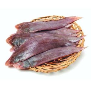 Baby sole fish 1KG