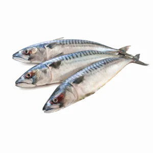 Frozen Mackerel