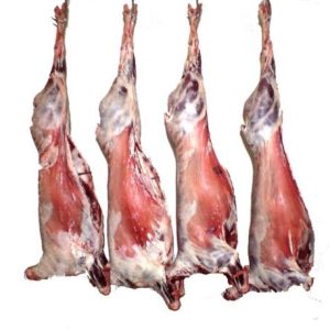 Frozen sheep/ mutton