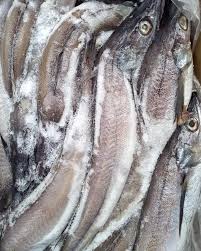 Hake fish half box