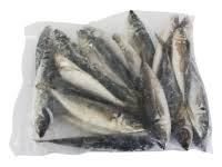 Mackerel quarter box 5kg