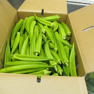 Okro box 4kg
