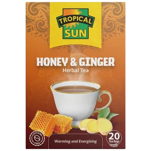 TS TEA HONEY GINGER 20S