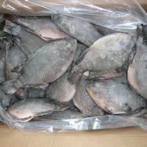 Tilapia Box 5kg