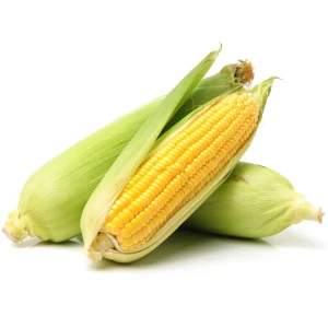 Fresh Corn